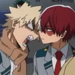 Shoto Todoroki and Katsuki Bakugo's avatar