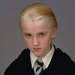 Harry Potter and the Chamber of Secrets RPG's avatar