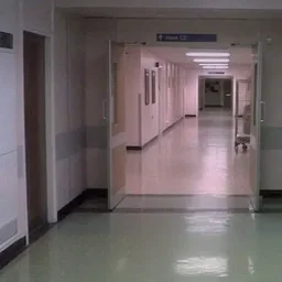 Mental Hospital's avatar