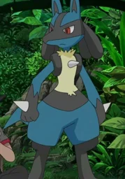 Lucario (Pokémon)'s avatar